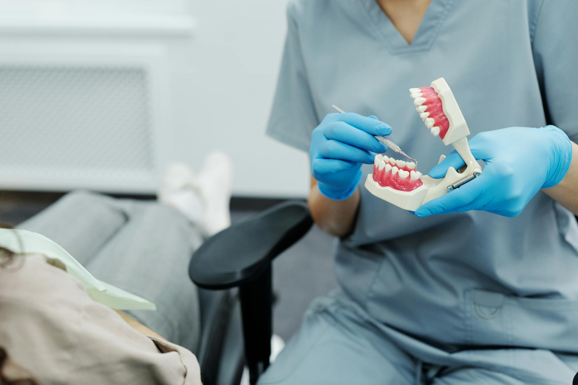 a person holding a teeth model and a dental scaler